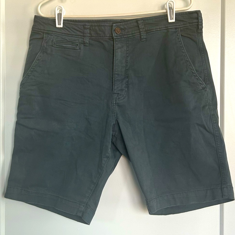 AMERICAN EAGLE Men’s Shorts in Size 34